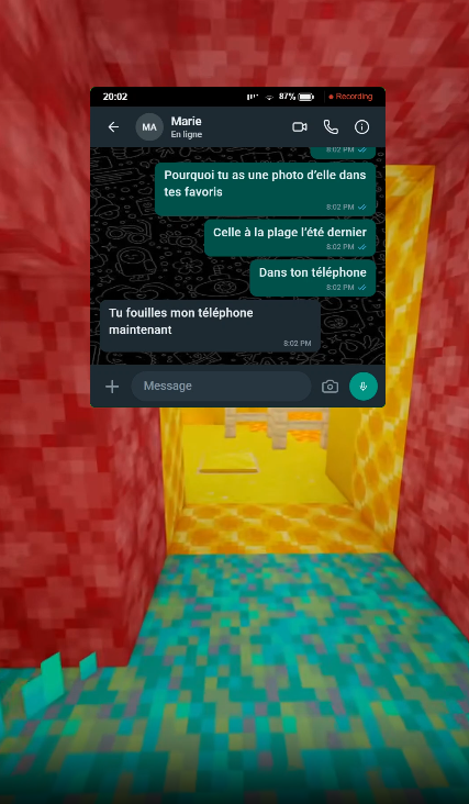 Aperçu conversation type WhatsApp